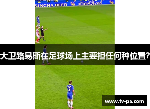 大卫路易斯在足球场上主要担任何种位置？