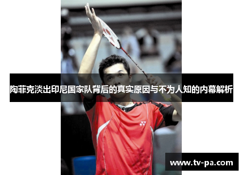 陶菲克淡出印尼国家队背后的真实原因与不为人知的内幕解析