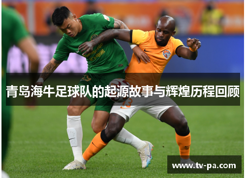 青岛海牛足球队的起源故事与辉煌历程回顾