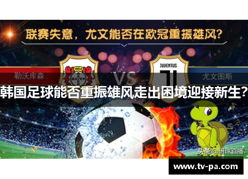 韩国足球能否重振雄风走出困境迎接新生？