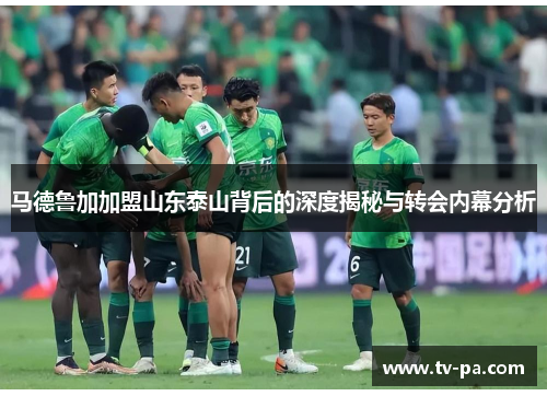 马德鲁加加盟山东泰山背后的深度揭秘与转会内幕分析