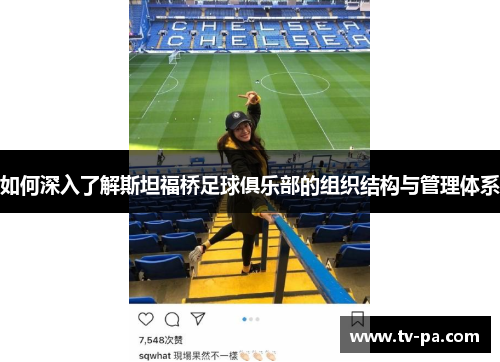 如何深入了解斯坦福桥足球俱乐部的组织结构与管理体系