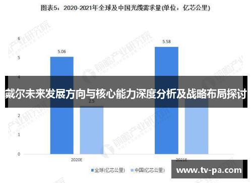 戴尔未来发展方向与核心能力深度分析及战略布局探讨