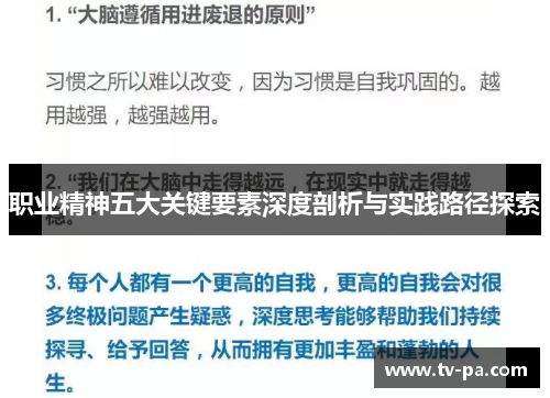 职业精神五大关键要素深度剖析与实践路径探索