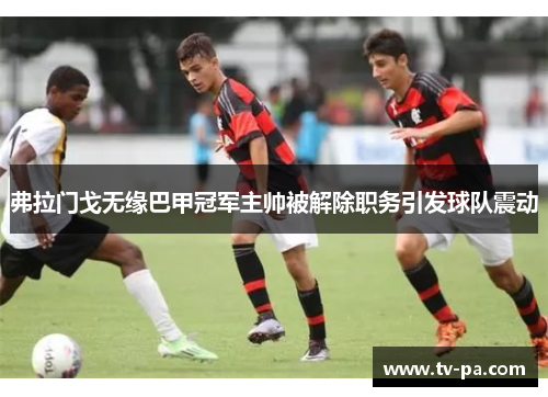 弗拉门戈无缘巴甲冠军主帅被解除职务引发球队震动
