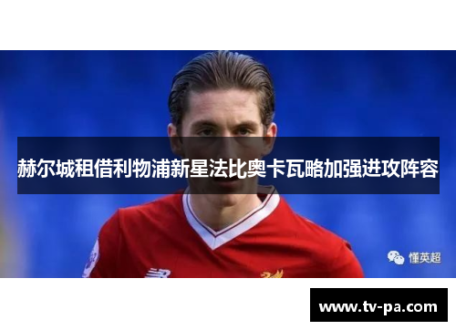 赫尔城租借利物浦新星法比奥卡瓦略加强进攻阵容