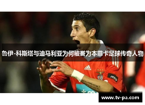 鲁伊-科斯塔与迪马利亚为何被誉为本菲卡足球传奇人物