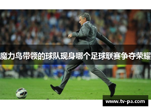魔力鸟带领的球队现身哪个足球联赛争夺荣耀