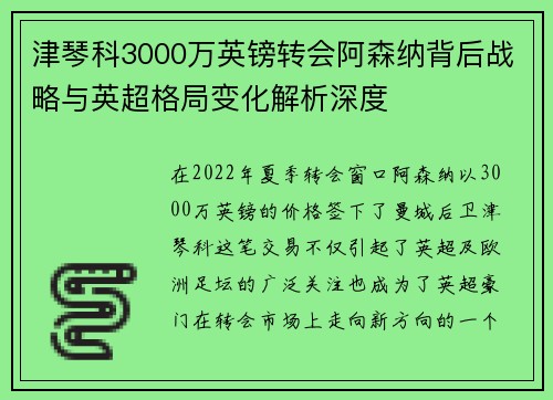 津琴科3000万英镑转会阿森纳背后战略与英超格局变化解析深度
